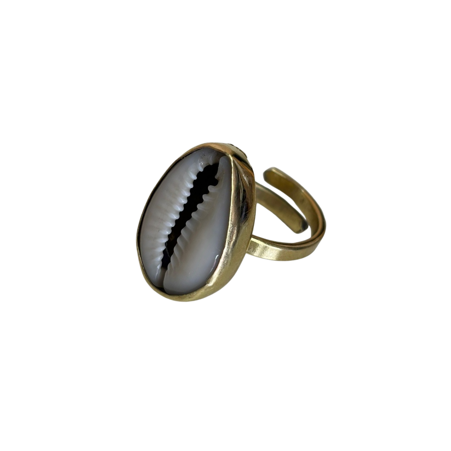 mombasa cowrie shell ring on a white background