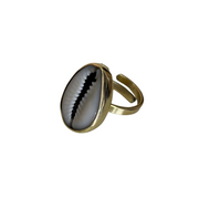 mombasa cowrie shell ring on a white background